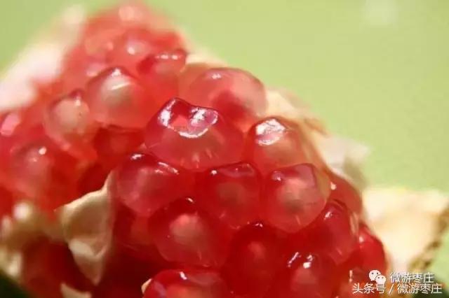 匡衡当了官后做了什么坏事,石榴从老家回来