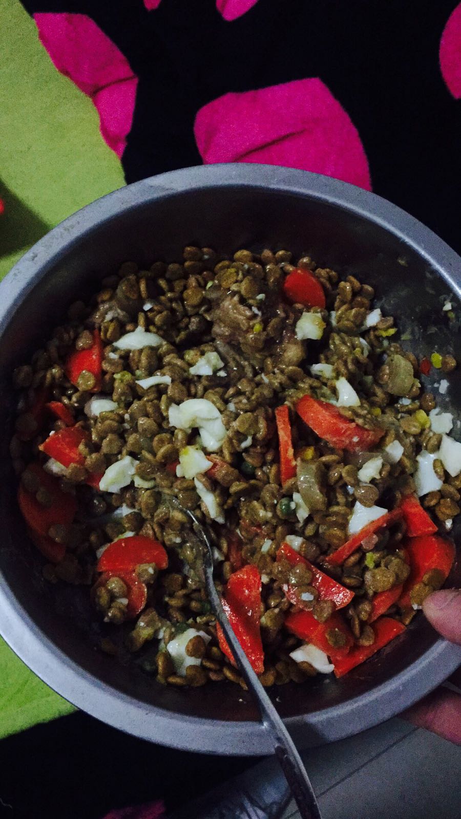 阿拉斯加临产,阿拉斯加拖主人4小时