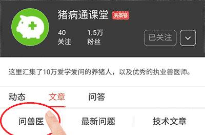 给猪打疫苗猪吐了咋回事,给猪打了疫苗有什么后果