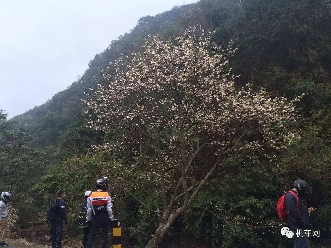 车友风采,遇到摩托车后,感觉每天都是热恋