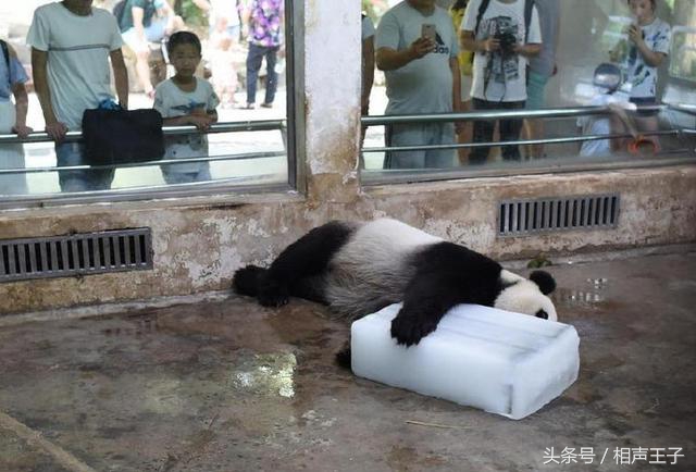 姑娘,别再抬脚了,整个车厢都弥漫着你臭袜子的味道