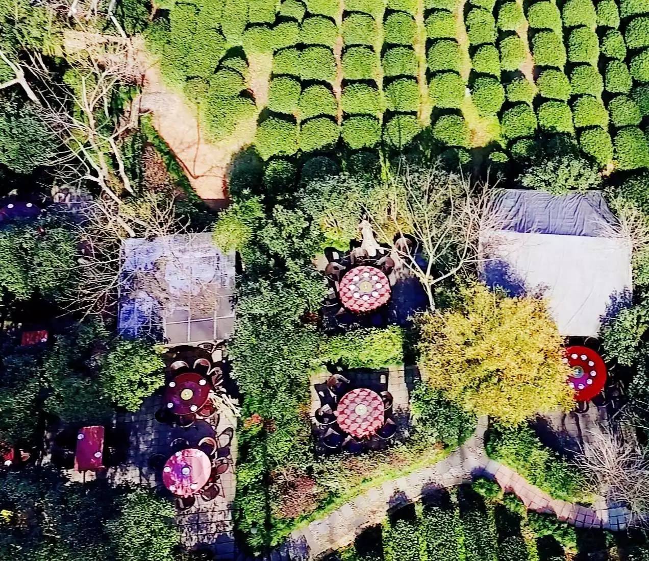 来一碗热乎乎的老鸭粉丝汤,最好吃的老鸭粉丝汤