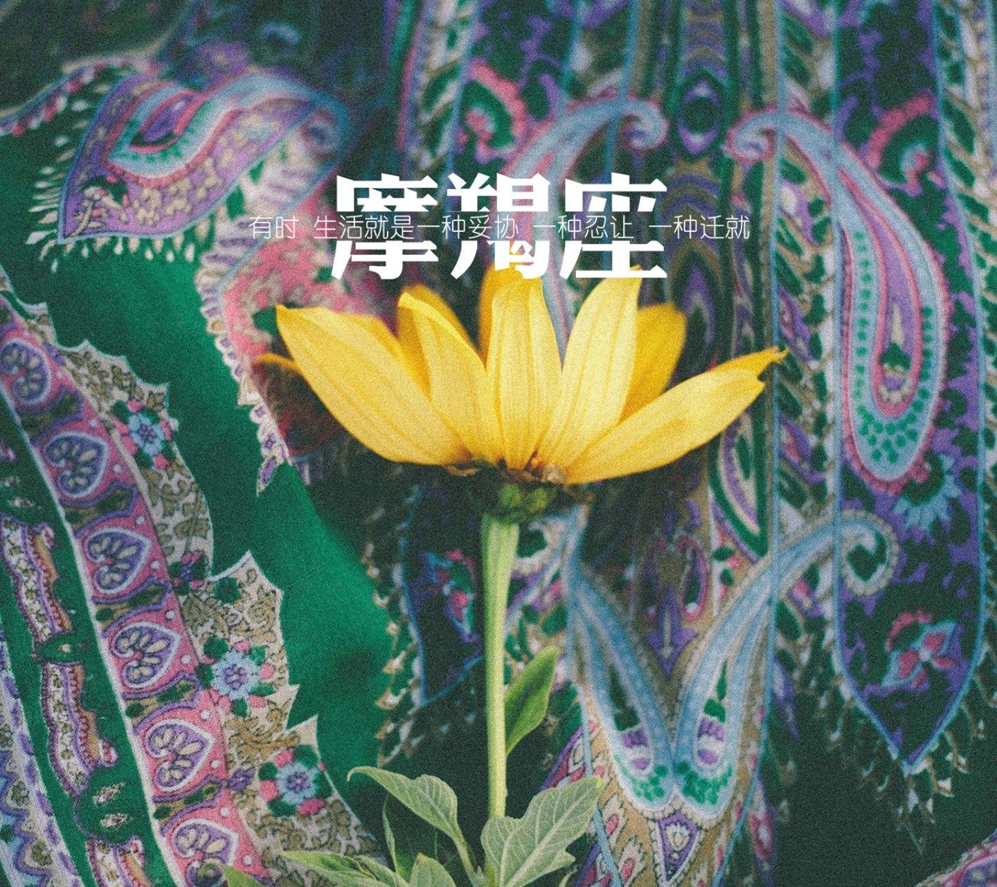 摩羯座女生吸引人的特质有哪些,摩羯座男生的性格特质是什么