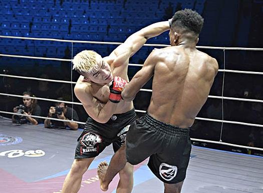 巴西柔术综合格斗,巴西柔术与综合格斗