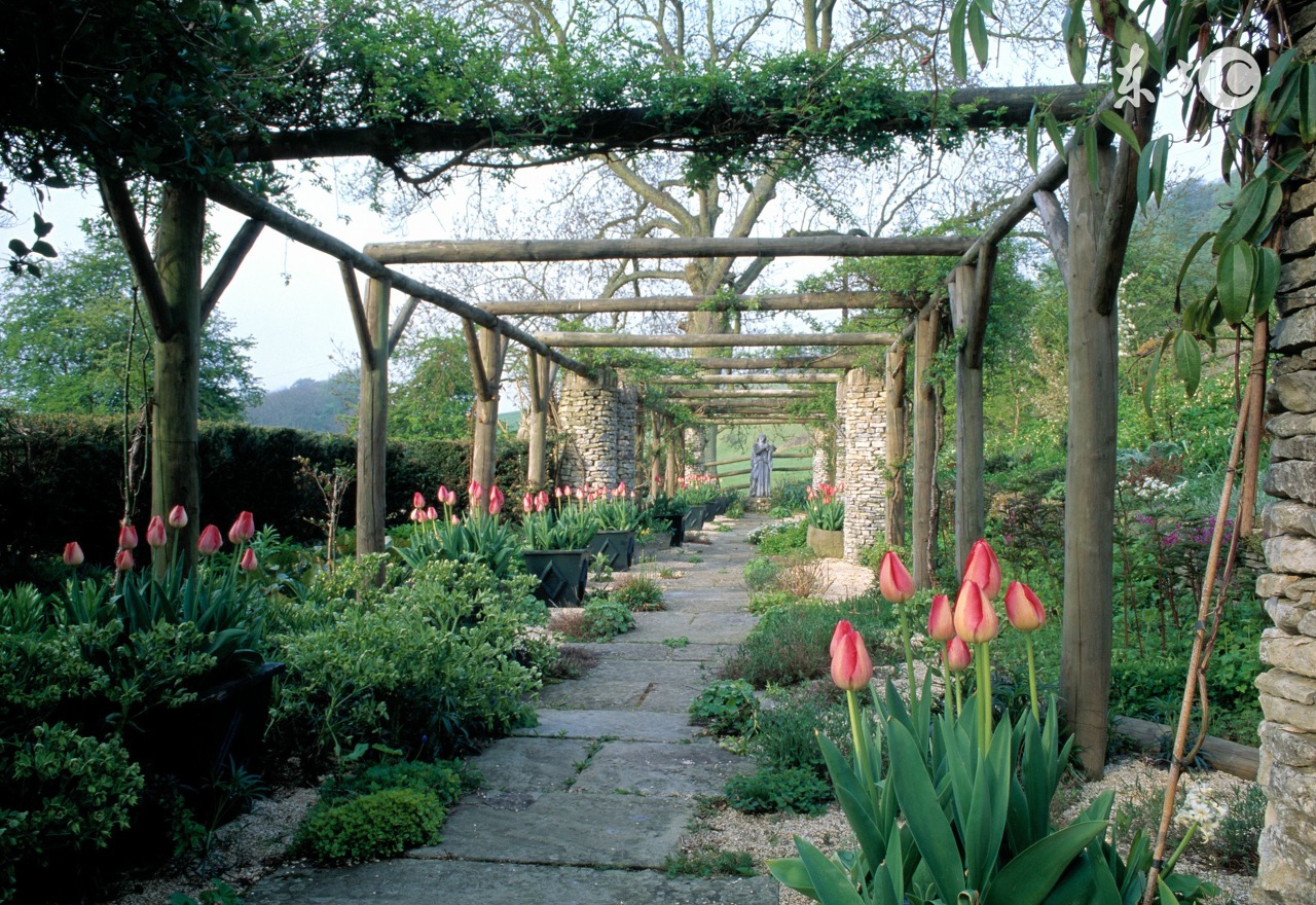 李白春夜宴桃李园序感受,春夜宴游从弟桃李园序课件ppt