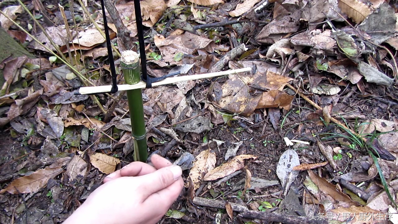 狩猎式陷阱,狩猎陷阱最快玩法