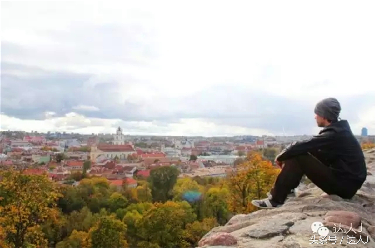 猜猜哪个国家连刺猬都有路牌？