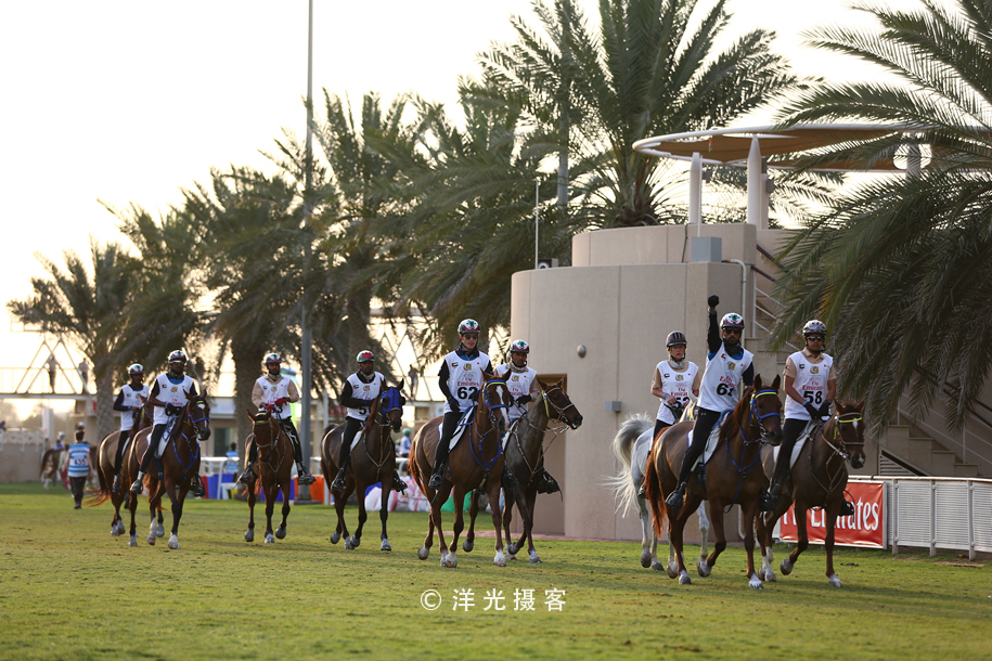 为什么迪拜土豪最有钱,真正的迪拜土豪