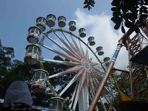 深圳的东湖公园怎么样,深圳市东湖公园