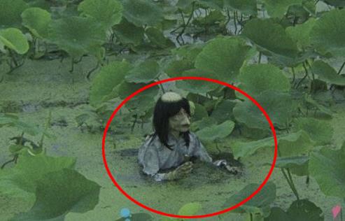 一张诡异的图片看懂就觉得恐怖,十个诡异惊悚图片