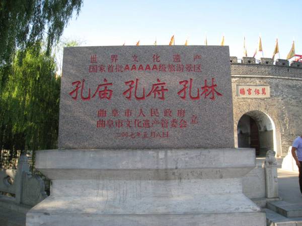 每日花语万寿菊,每日花语蔡依林