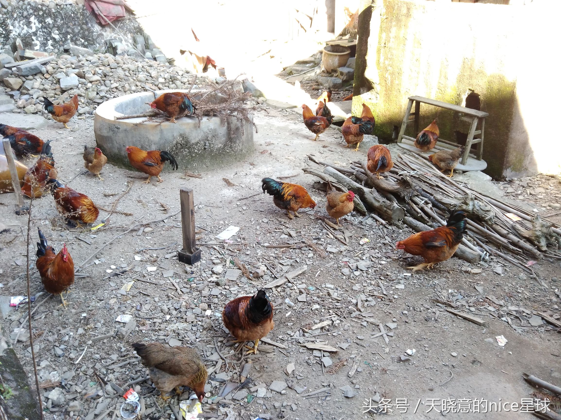 两天一夜，去永定看神秘建筑——土楼