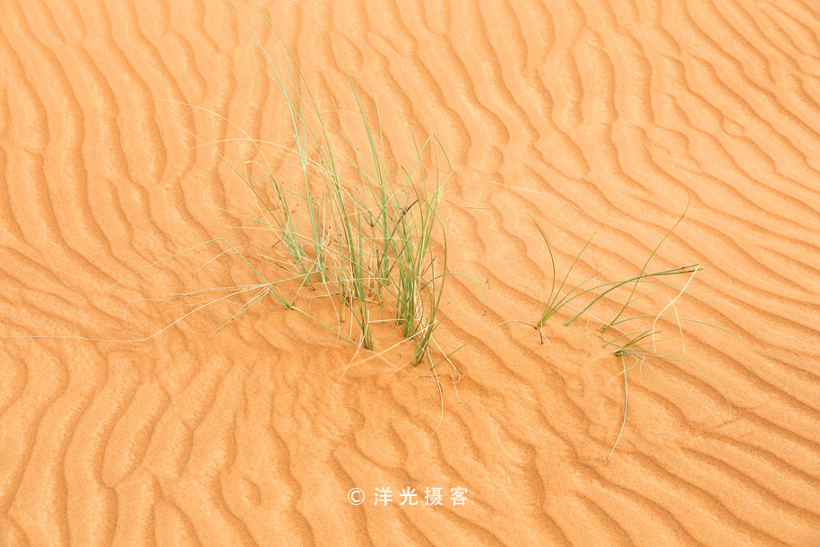 迪拜冲沙是玩什么,迪拜冲沙一点不刺激