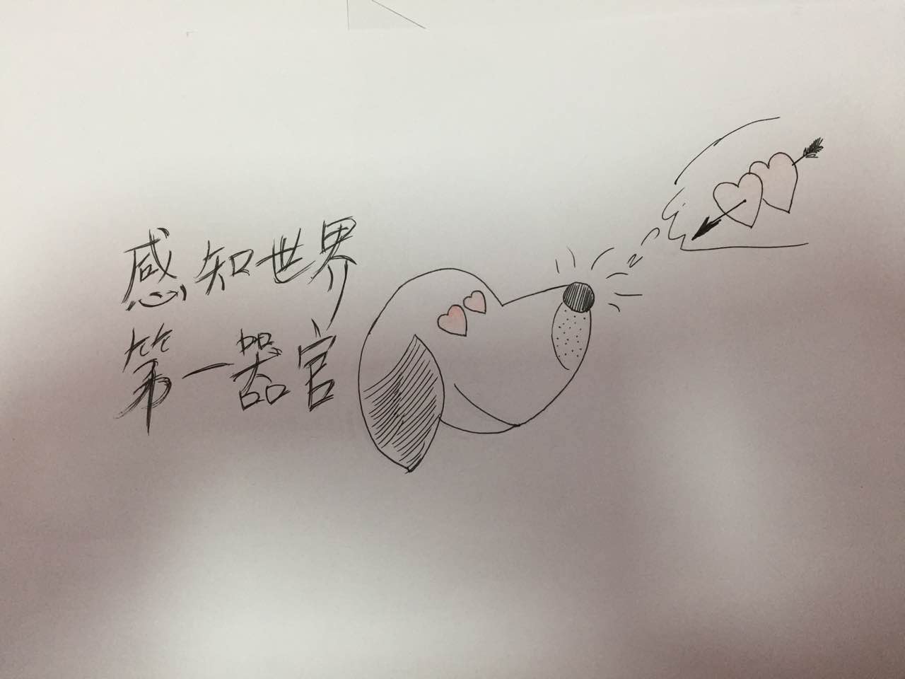 宠物狗怎么护理大姨妈,你们知道狗狗也会有母爱情绪吗