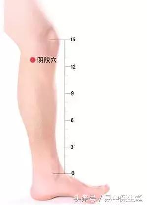 一味中药解除湿疹,湿疹千万不要慌可以用这几个方法