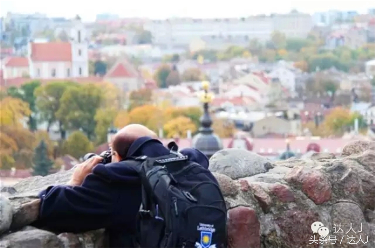 猜猜哪个国家连刺猬都有路牌？