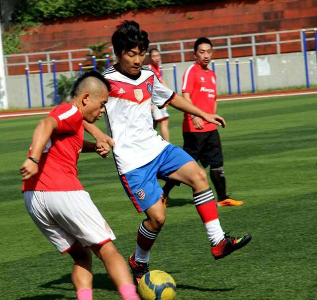 南部之星球迷版,南部之星慕尼黑