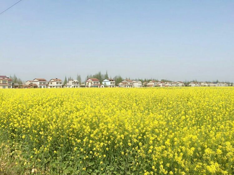 湖南益阳有几个镇,湖南益阳有几个县啊