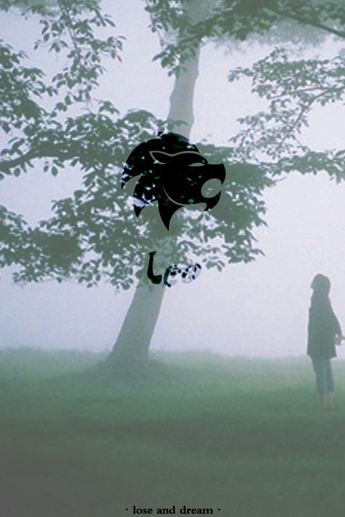 十二星座古风壁纸双鱼座最漂亮,哆啦a梦手机壁纸高清十二星座