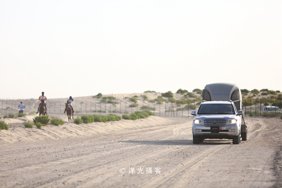 为什么迪拜土豪最有钱,真正的迪拜土豪