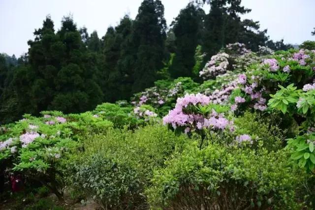 购货发票与付款金额不符,购货发票属不属于原始凭证