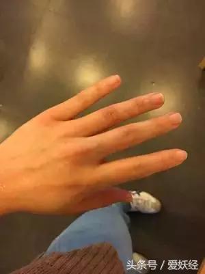 爱妖经养宠怎么玩,爱妖经