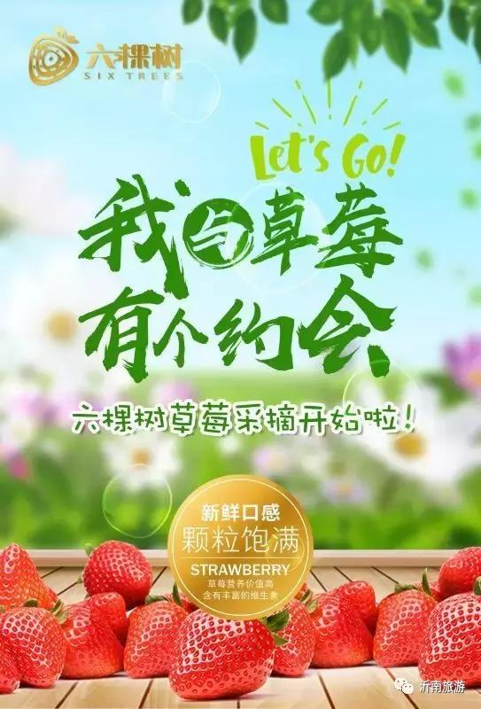 山东沂南秋日花海醉游人,沂南周边看梨花景点