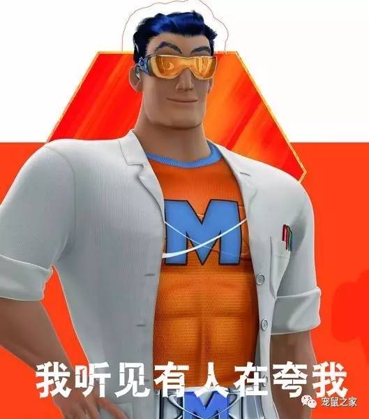 荷兰猪尿垢怎么清洗,荷兰猪尿渍怎么处理