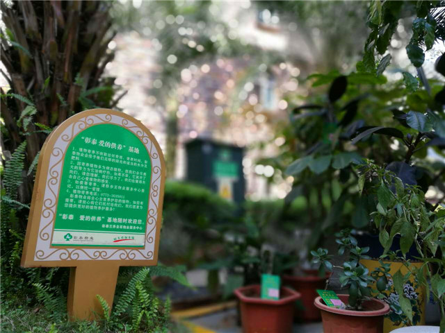 匠心之旅,匠心之旅视频