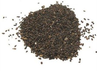 健康养生视频脚气,每日一方养生知识