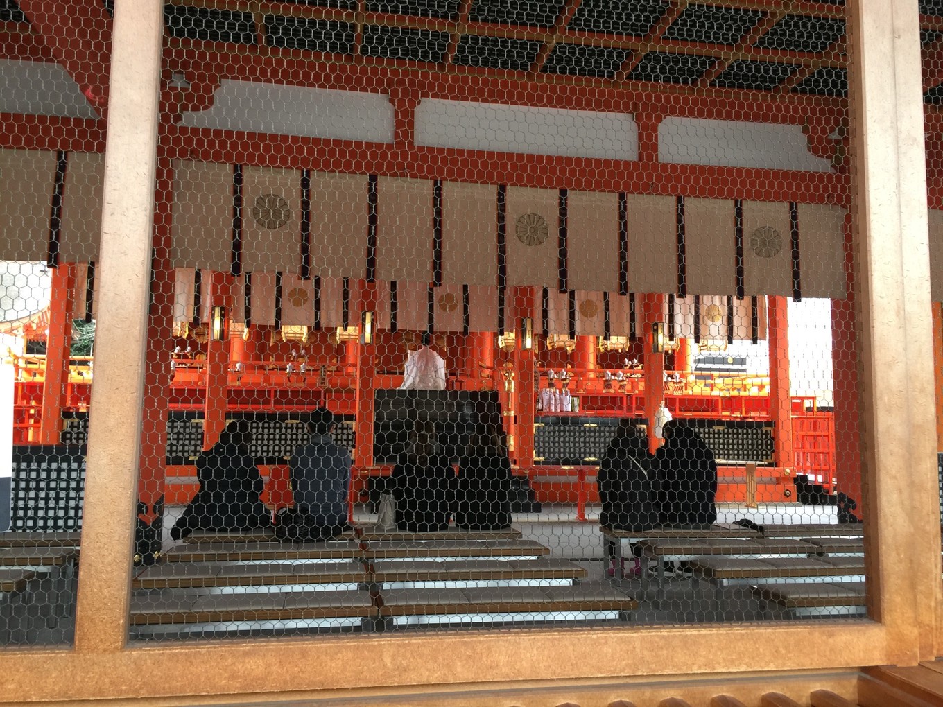 迷失在岛国——东京、京都、大阪7天经典游