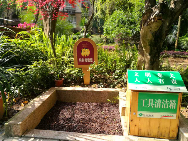 匠心之旅,匠心之旅视频