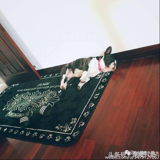 婚内招妓转移财产,花千万养小三,国足队员姜至鹏破门挺进出轨队