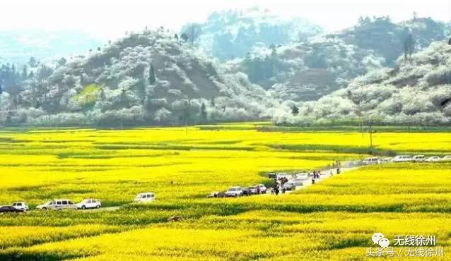 徐州桃花美景,徐州春天又见美好游玩