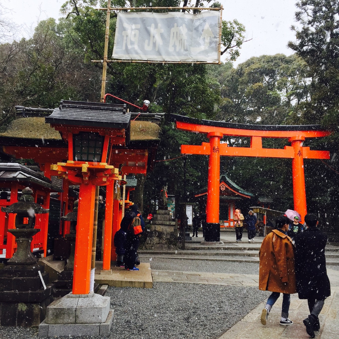 迷失在岛国——东京、京都、大阪7天经典游