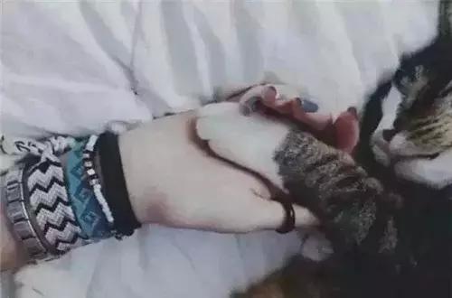 qq两个黄钻多少级,qq黄钻多少级满级