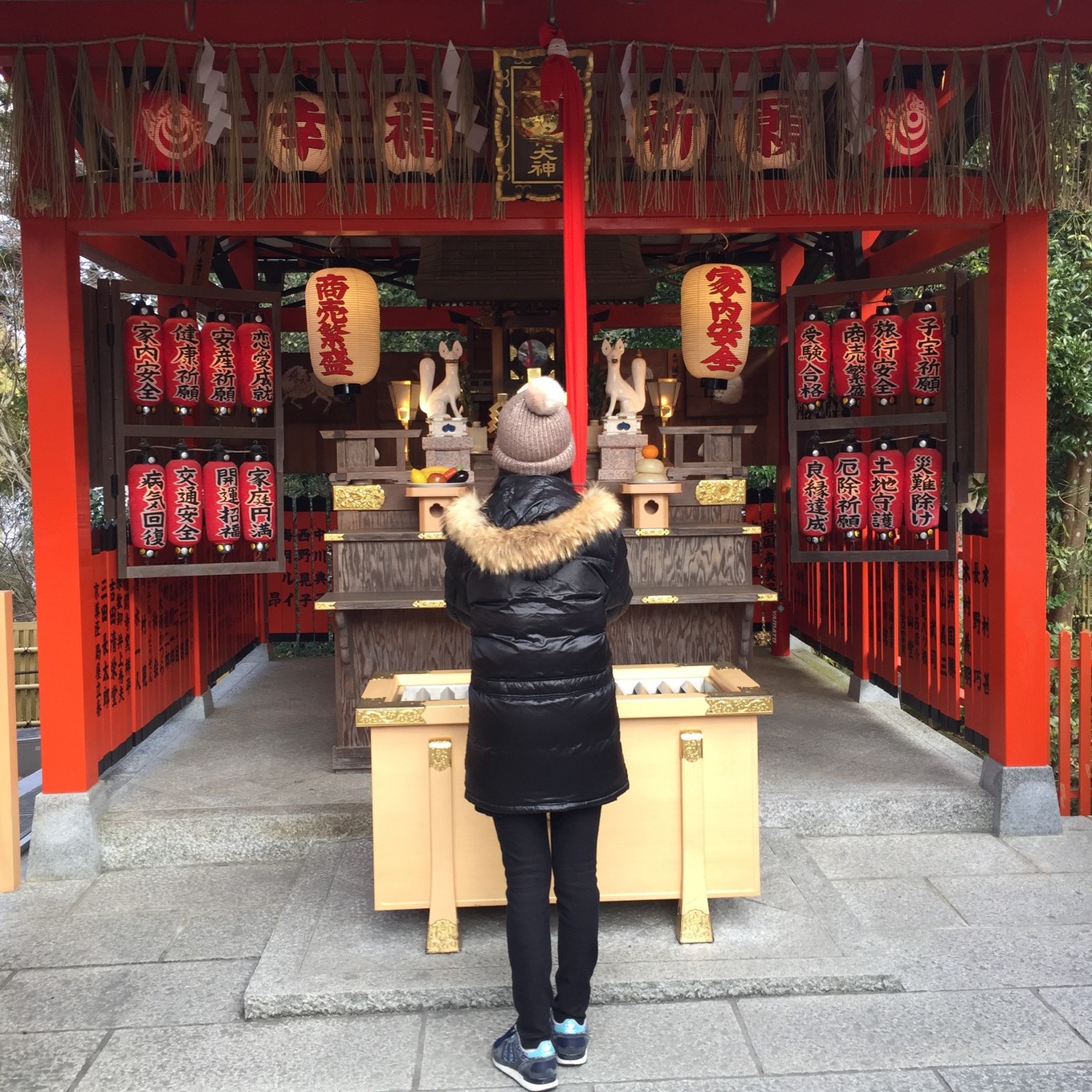 迷失在岛国——东京、京都、大阪7天经典游