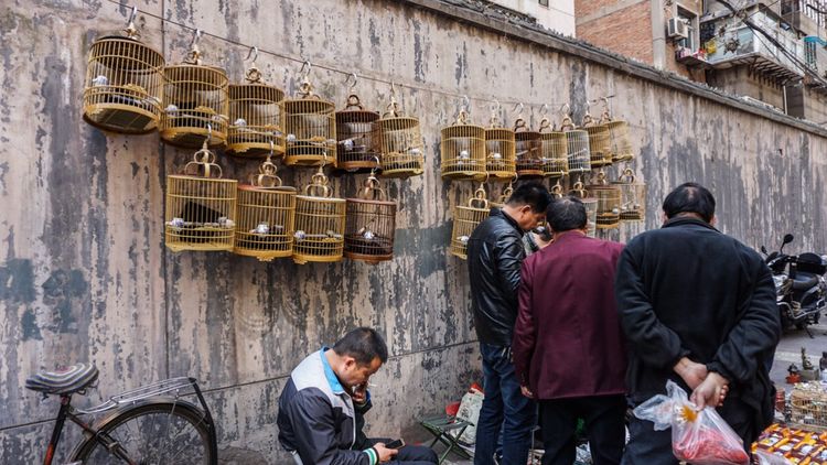 实拍：西安市井的味道