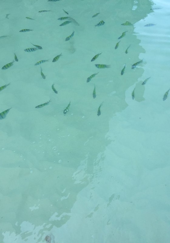 阳光沙滩海浪旅行日记,普吉甲米跟团游游记
