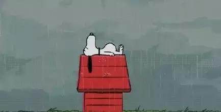 天气潮湿尤克里里怎么保养,尤克里里最佳保存温度和湿度