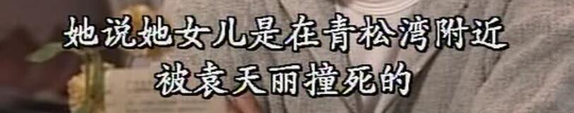 刑事侦缉档案袁天丽马成昌第五集,刑事侦缉档案袁天丽