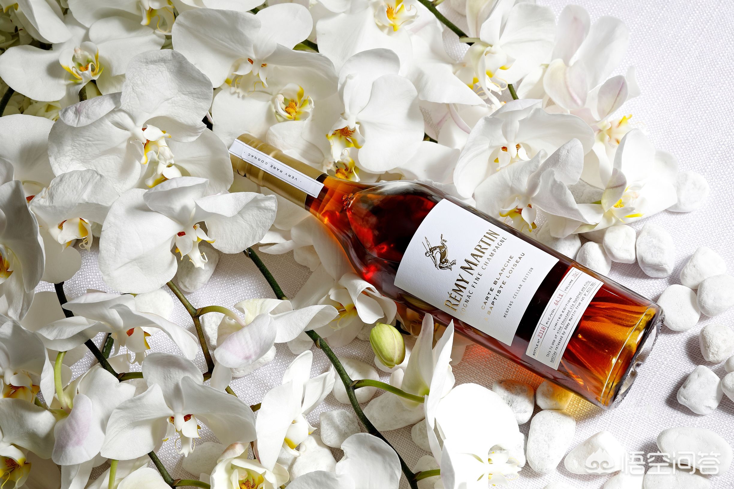 秦岚喝酒的戏,秦岚酒局片段