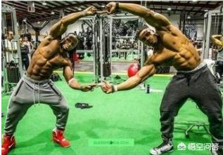 一张图看懂龙珠宇宙,一分钟带你了解龙珠