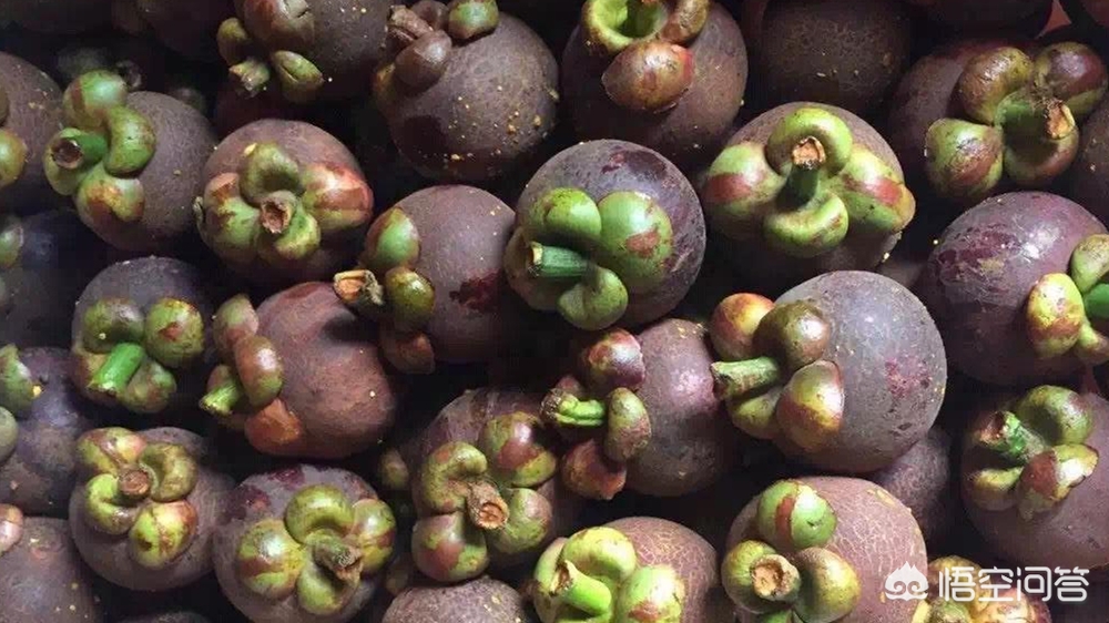 山竹为什么很贵科普,山竹口感作用
