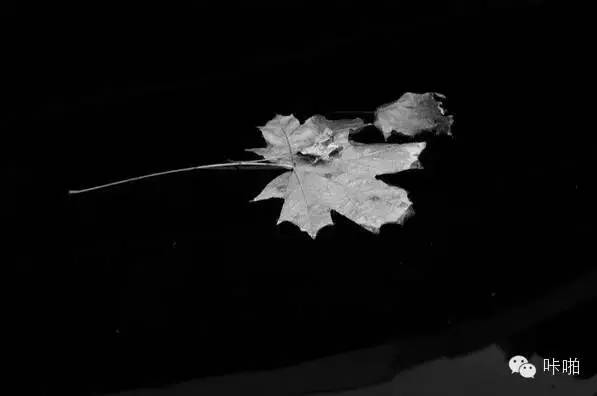 在这个拼颜值又拼年龄的时代,在这个拼颜值的时代