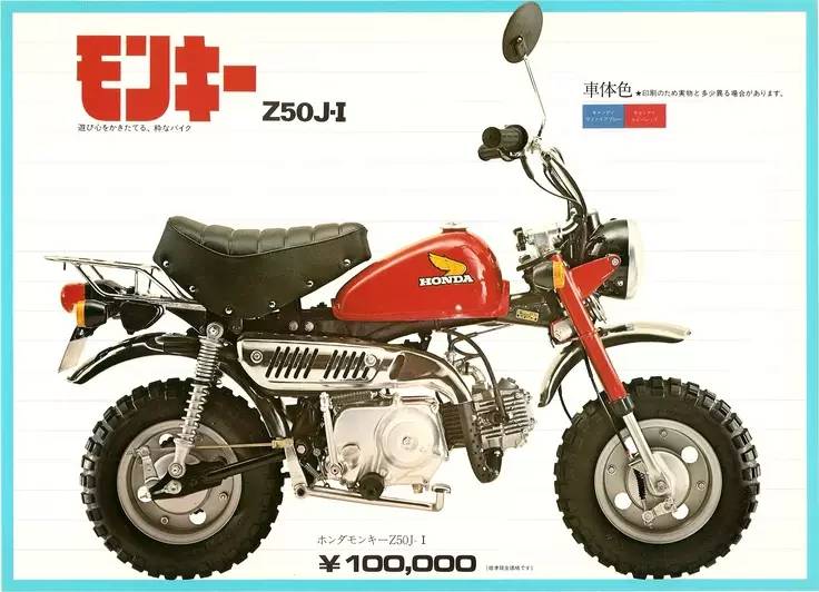 猴猴猴赛雷,猴赛雷猴子视频