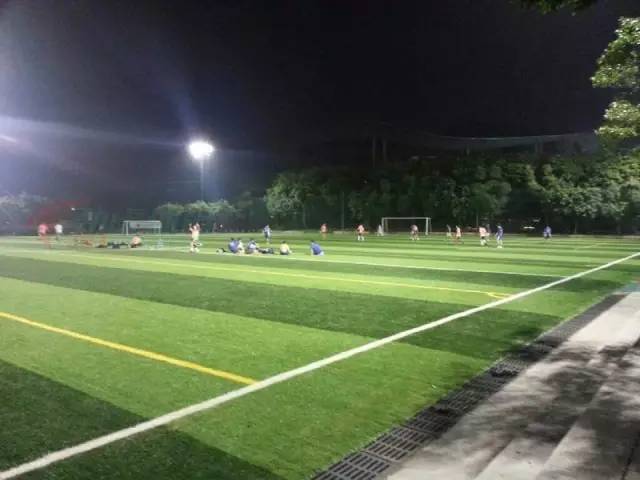 收好这份清单!青羊免费踢球、逛展,来这儿就对啦!