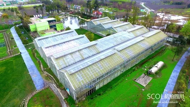 白云村多利农庄,郫都区红光街道白云村