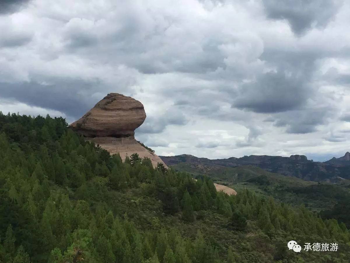 网友投稿文旅局,网友投稿核桃小屋