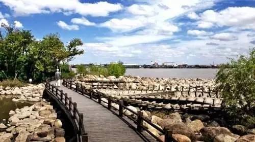 上海奉贤一日游最佳景点一览表,上海宝山区最值得去的五个景点